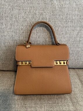 Delvaux Tempete PM - Vegetal